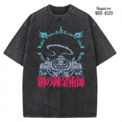 Fullmetal Alchemist Anime peri...