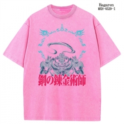 Fullmetal Alchemist Anime peri...