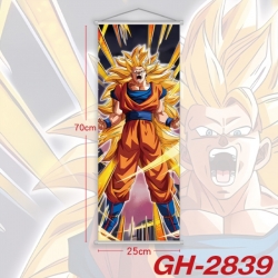 DRAGON BALL Plastic Rod Cloth ...