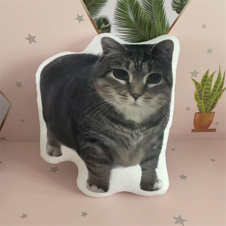 Oiiaioooooiai Anime double-sided colorful pattern irregular pillow cushion