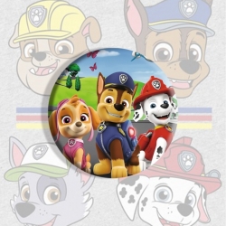 PAW Patrol Anime tinplate brooch badge price for 5 pcs