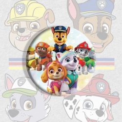 PAW Patrol Anime tinplate brooch badge price for 5 pcs