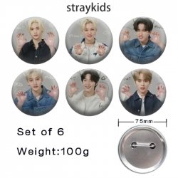 straykids Anime Tinplate Brigh...