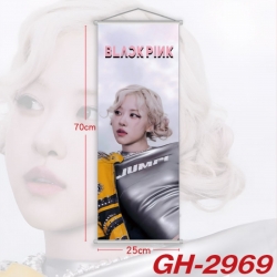 BLACK PINK Plastic Rod Cloth S...