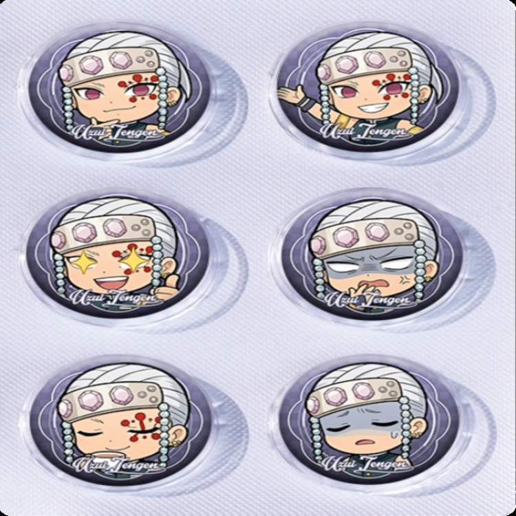 Demon Slayer Kimets Anime peripheral pill bar badge 25mm a set of 6 price for 5 sets 
