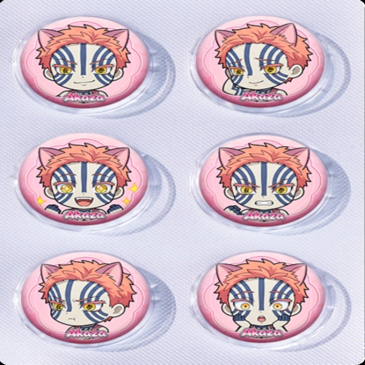 Demon Slayer Kimets Anime peripheral pill bar badge 25mm a set of 6 price for 5 sets 