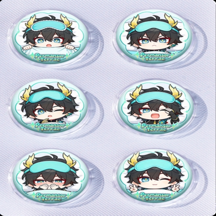 Honkai: Star Rail Anime peripheral pill bar badge 25mm a set of 6 price for 5 sets 