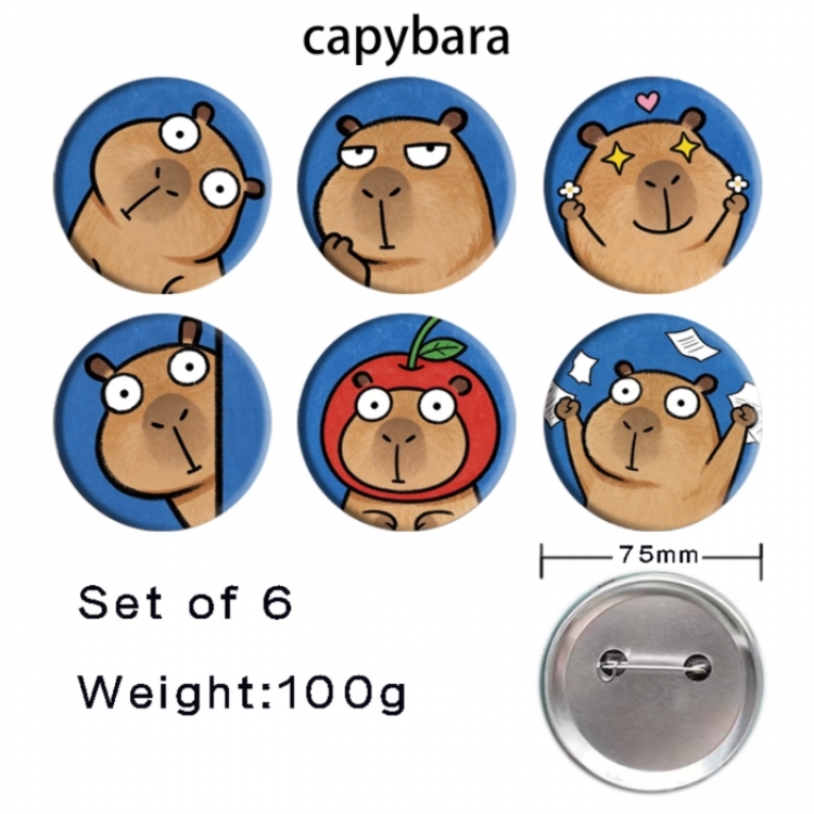 Kapibala  Anime Tinplate Bright Film Emblem Badge 75mm a set of 6