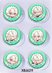 Demon Slayer Kimets Anime peripheral pill bar badge 25mm a set of 6 price for 5 sets